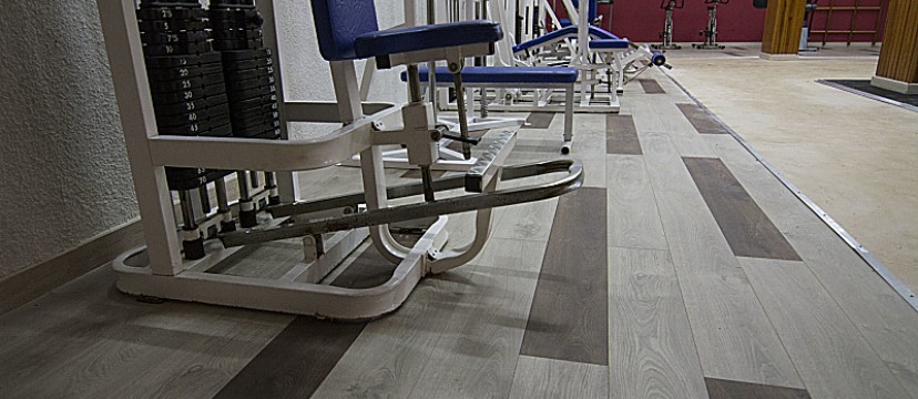 _DSC0010_opt1