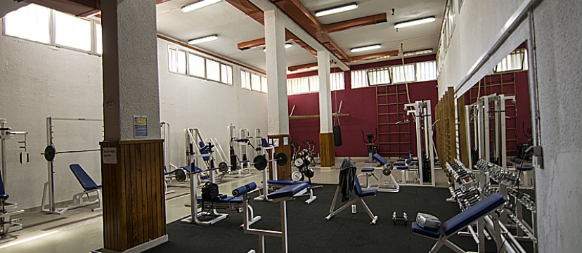 _DSC0133_opt1