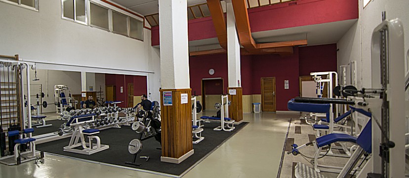_DSC0136_opt1
